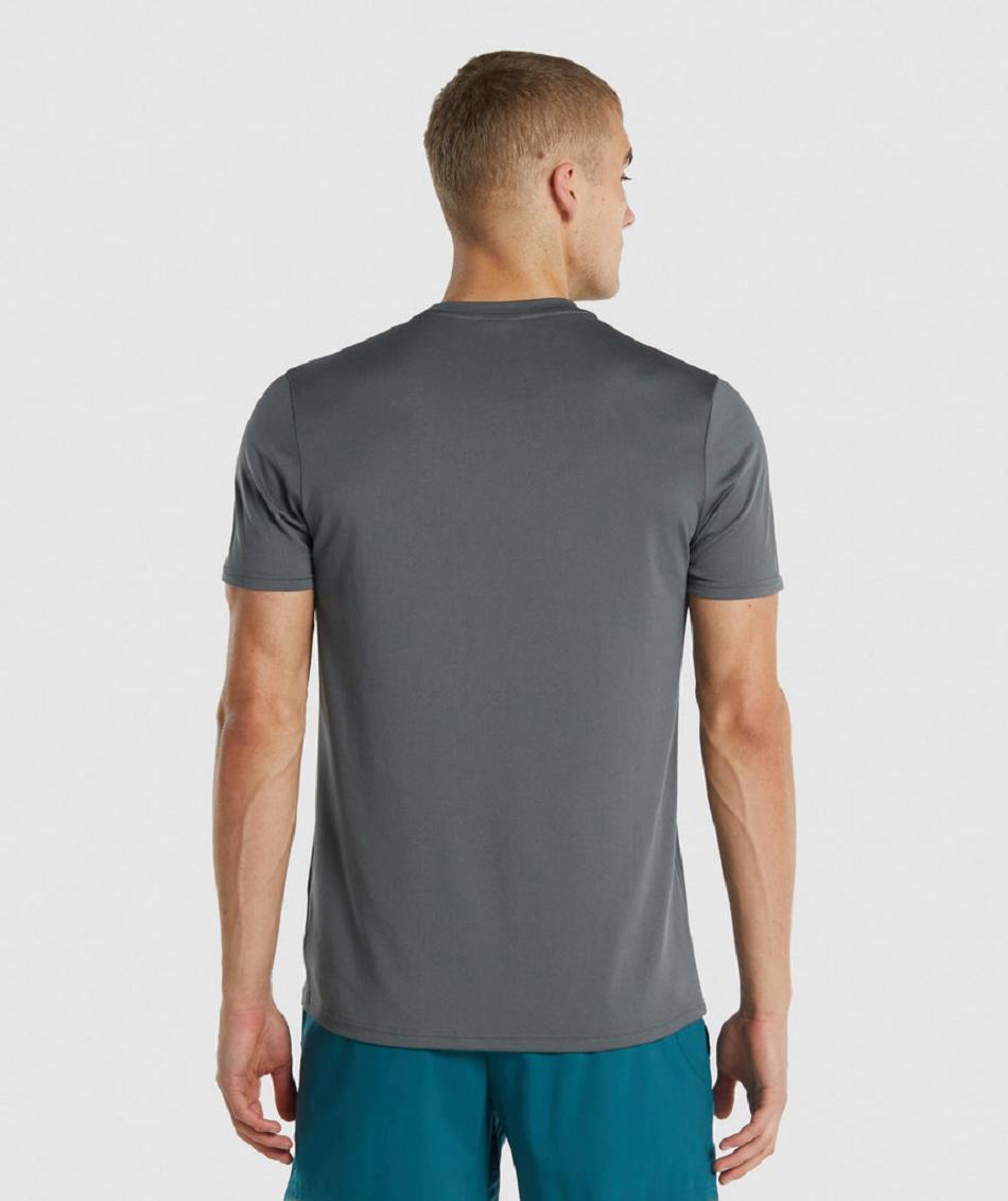 Gymshark Arrival Regular Fit Muške T Shirts Sive | HR 2437ILH